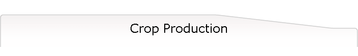 Crop Production