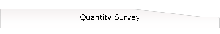 Quantity Survey