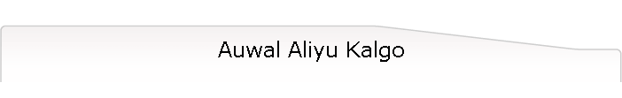 Auwal Aliyu Kalgo