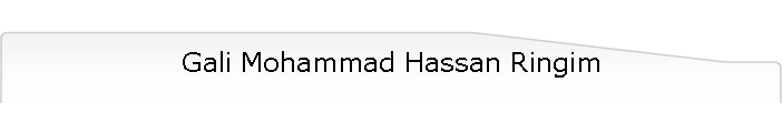 Gali Mohammad Hassan Ringim